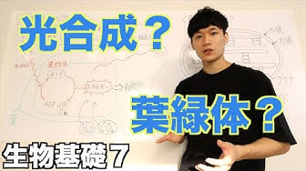 異化 Youtube
