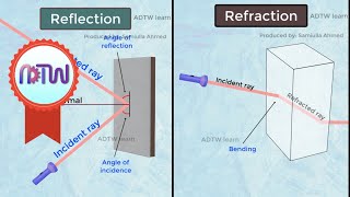 Difference between Reflection and Refraction #shorts