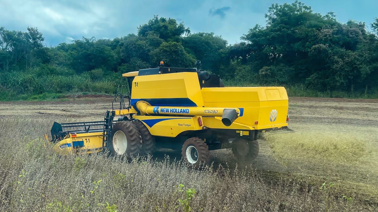 COLHENDO SOJA TC 5090