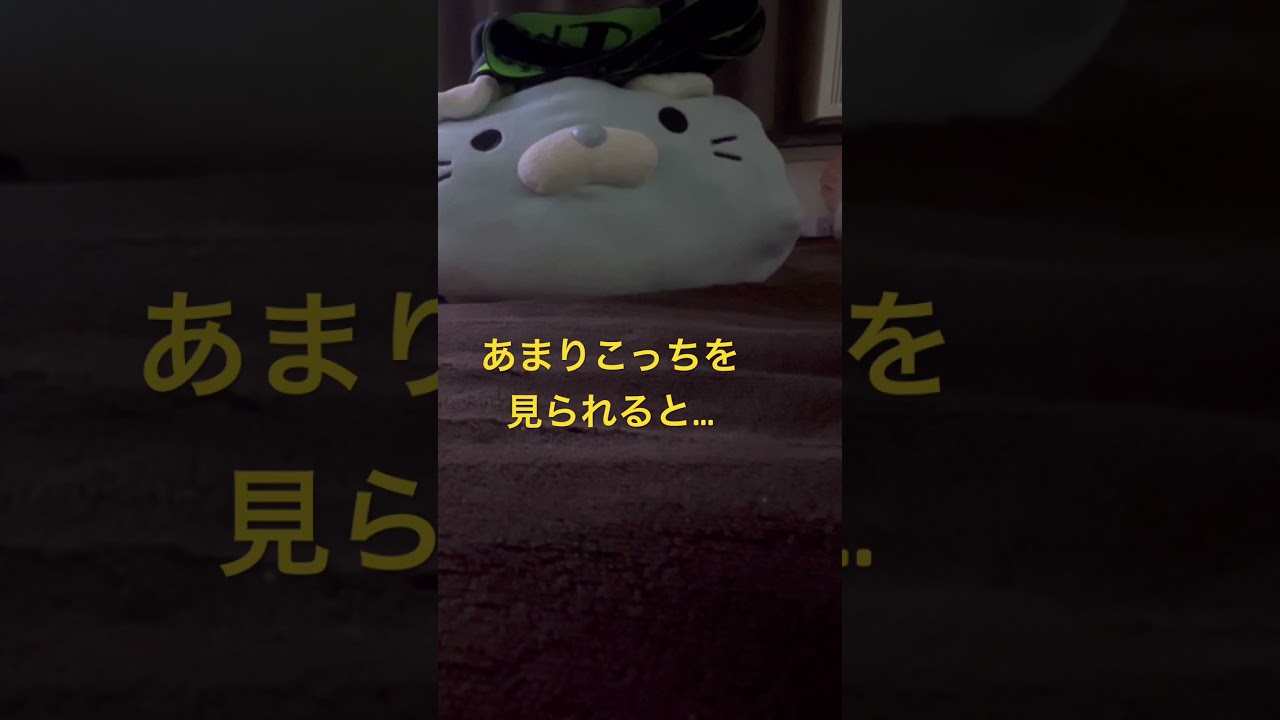 音に集中して癒されなさい‼️ #asmr #癒し #大人女性