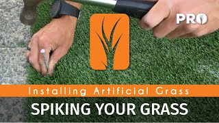 Spiking Artificial Grass - Step 5