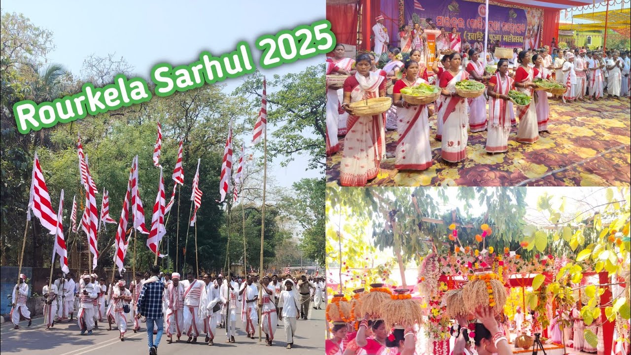 Rourkela sarhul 2025 , Odisha | sarna puja sthal rourkela odisha 