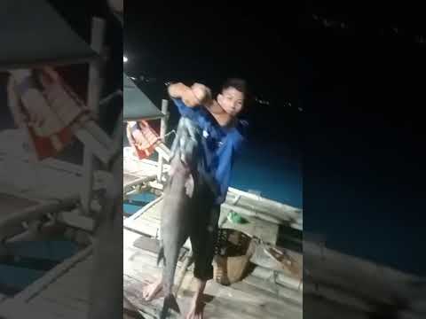DB fishing babon jalidin