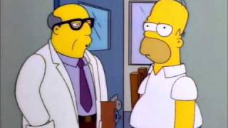 The Simpsons S08E08 Hurricane Neddy - Physiatry