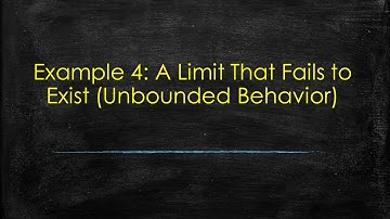 Example 4: A Limit That Fails to Exist (Unbounded Behavior).