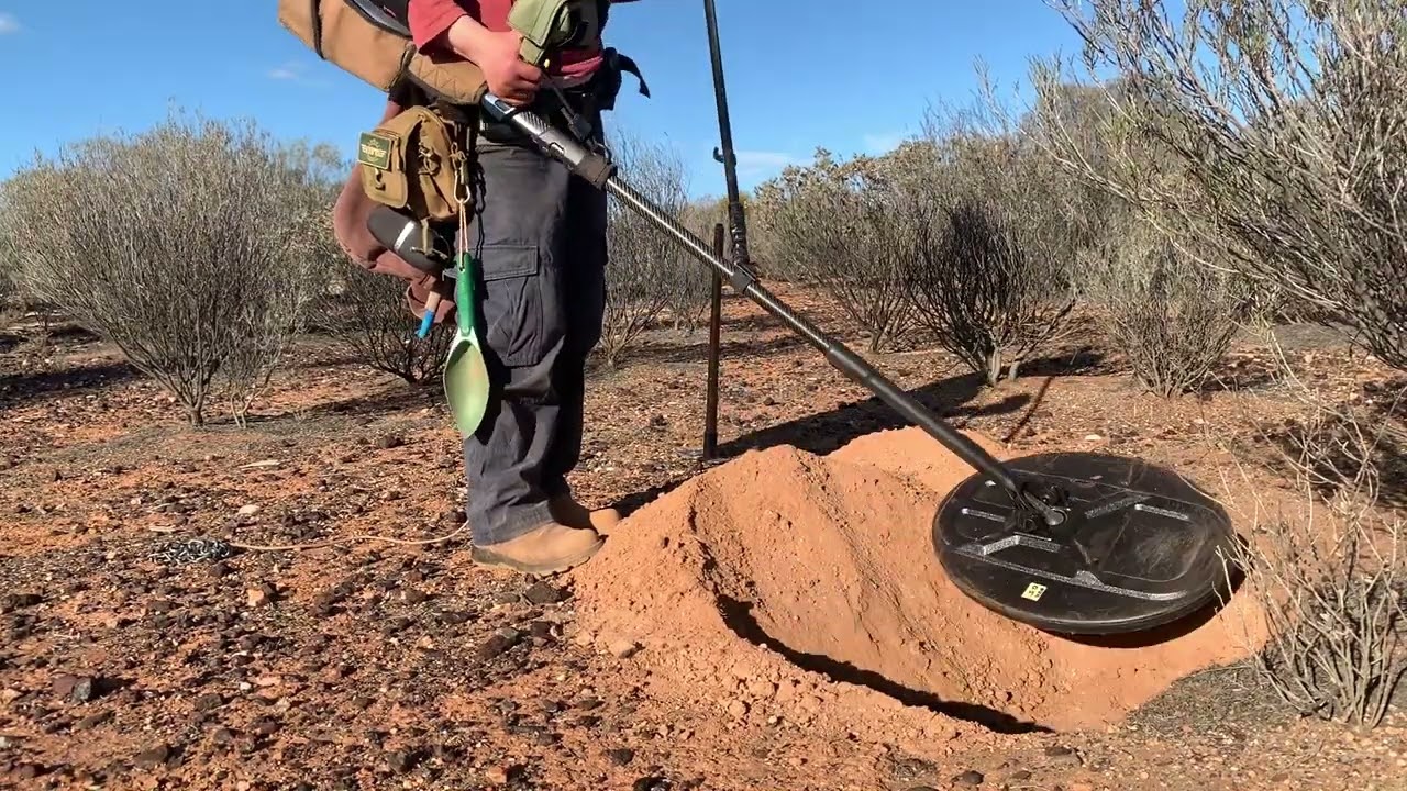 GPZ7000 With nugget finder 17x13 Z Search