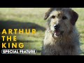 Arthur the King (2024) Special Feature ‘A Love Letter To Arthur’ - Mark Wahlberg