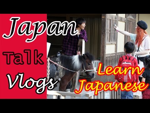 Hoe leer je Japans ? Japans leren via les of online ( English subs )