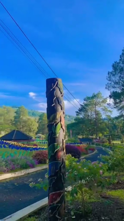 MENTARI PAGI INDAH BERSERI