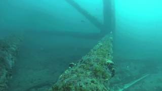 GOPR0095 barracuda attack