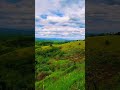 #naturevibes #youtubrshorts #fypppppppp