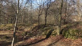 Springtime Noises: Trädgårdsföreningen Linköping