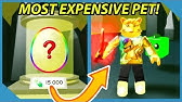 SECRET 4M PET UPDATE CODES IN SLAYING SIMULATOR! Roblox ... - 