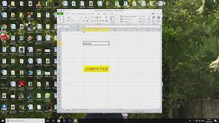 Chapter 5 More on Excel 2010
