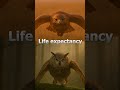 Eagle Owl vs Hawk 🦉🦅 | The Sky Has Only ONE King! 😱🔥