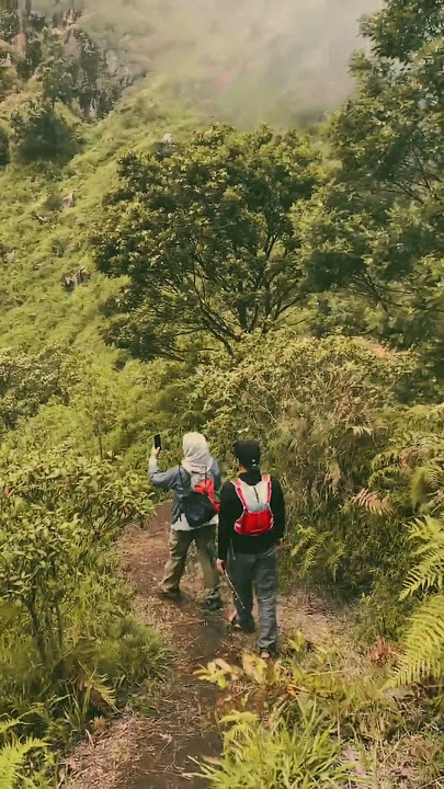 Kabut⛰️💗 #galauberat #music #kumpulanlagu #cover #gunung #gunungsumbing #syahdu