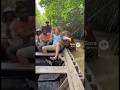 Tourists Panic as a Tiger Climbs Onto Their Boat