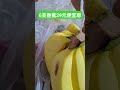 水果攤跟全聯物價指數。