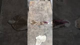 Dead Battery Negative Plate Repair | Lead Acid Battery Repair at Home