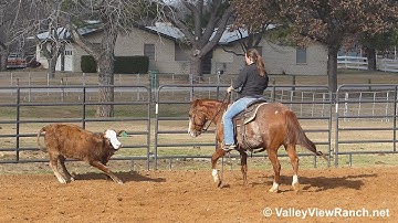 Ima Aristocat - working cows - ValleyViewRanch.net
