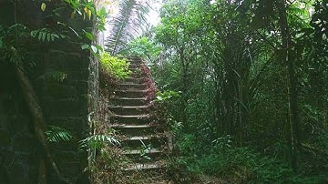 Alternate Universe Proof That Science Can