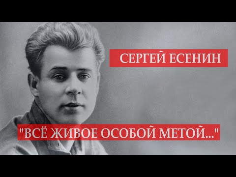 Сергей Есенин - 'Все живое особой метой...' Читает Леонид Юдин