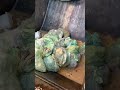Juicy food waste