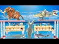 Tug of war woolly mammoth wild animals vs trex dinosaur who will win animal revolt battle simulator