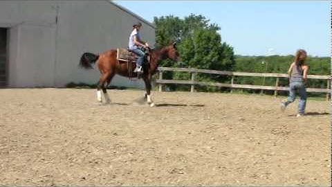 Valley View Ranch  - Boonkat -   ***For info, price, etc., go to our website***