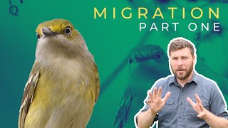 Full Spring Migration Photography Challenge Update