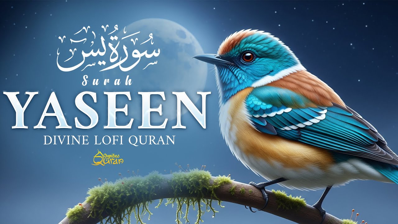 Surah Yaseen سورة يس | Ultimate Relaxing Quran for Sleep & Serenity | Dignified Quran 