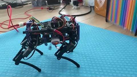 Quadruped Tsuki Mini openloop walking