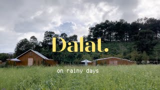 nếu chúng ta tới đà lạt vào một ngày mưa🌧️ dalat vlog - solo trip💘