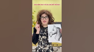 Bức vẽ đảo ngược độc lạ p2