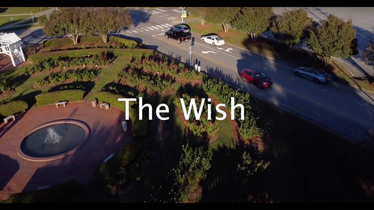 The Wish