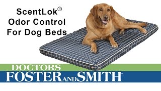 What is ScentLok® Odor Control Technology for Dog Beds? by Drs. Foster and Smith Pet Supplies 1,363 views 7 years ago 52 seconds