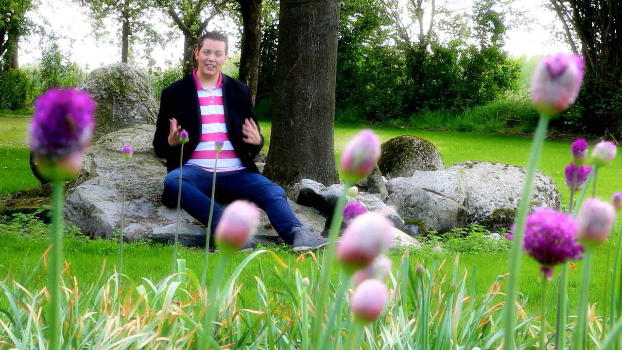 Mathijs Laverman -  Mädchen Meiner Träume