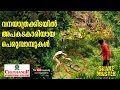 Dangerous Pythons along the forest trails | Snakemaster | Vava Suresh | EP 404