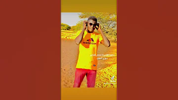 سليم القلب 