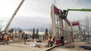 The Year That Was
