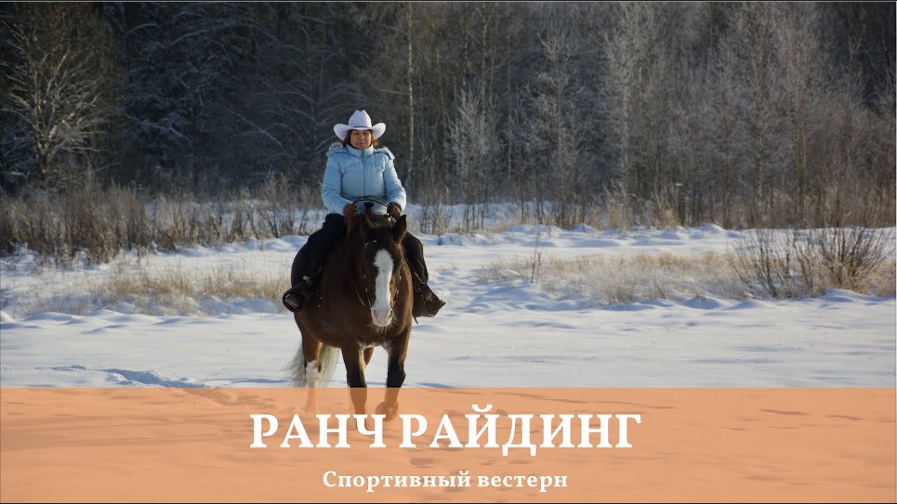 Спортивный вестерн.  Ранч Райдинг. Ranch Riding.