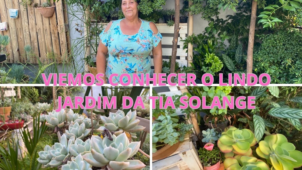TOUR PELO JARDIM DA TIA SOLANGE, VIEMOS CONHECER ESTE LINDO CANTINHO ...