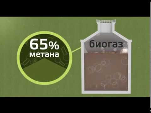 Отличия серверных жестких дисков от десктопных Отличия серверных жестких дисков от десктопных