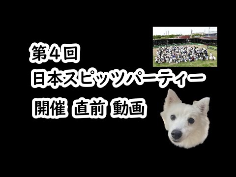第４回スピッツパーティーに参加する前に見る動画