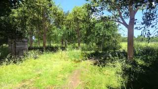Ambient Sound Module ArmA 3