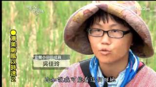 20130822《年輕人讚起來》種下一畝小甜甜