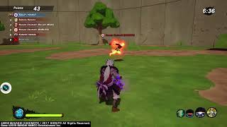 Training with the kusanagi sword