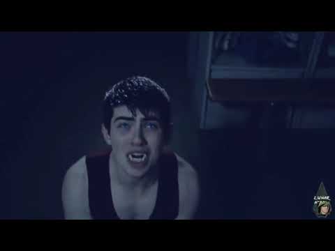 მგლის ლეკვი დერეკ ჰეილი ალპა