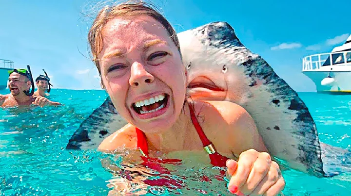 15 Friendliest Sea Creatures Around The World - DayDayNews