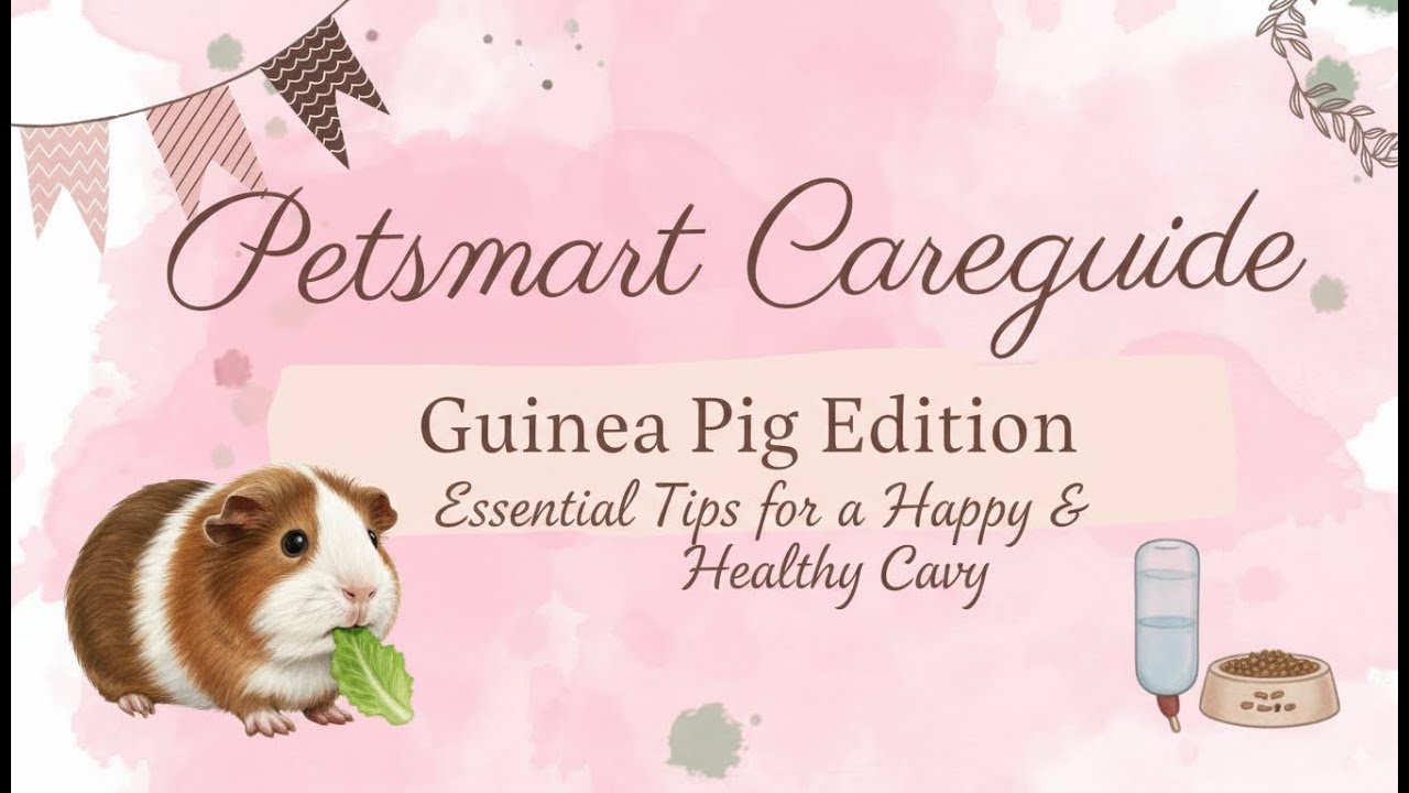 Petsmart: do they  provide accurate care information? Let's find out!